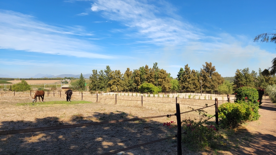 Commercial Property for Sale in Wellington Rural Western Cape